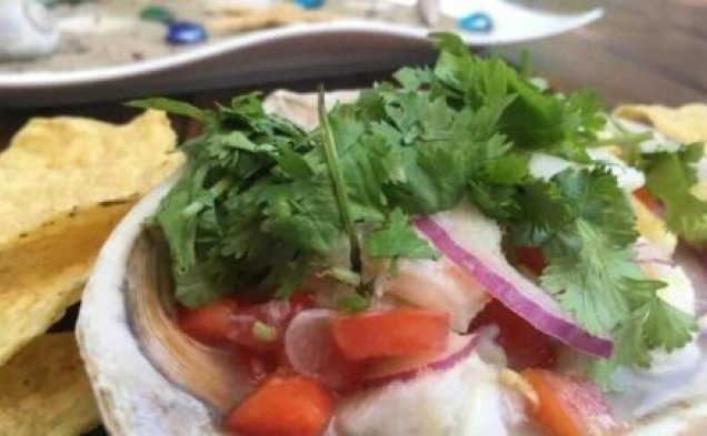 Ceviche - a Fancy, Expensive Seafood Dish Made Easy at Homehealthy recipe