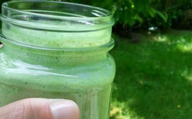Skinny Green Monster Smoothiehealthy recipe
